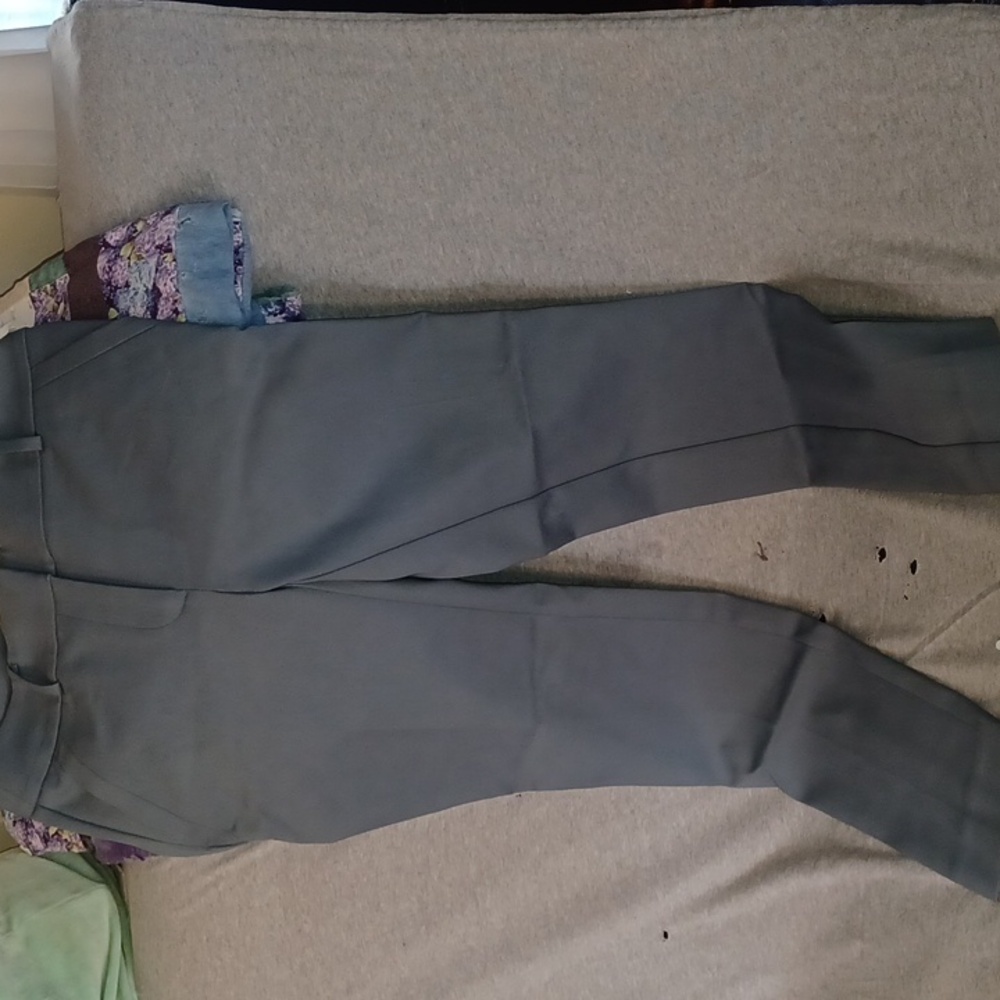 Loft petite pants